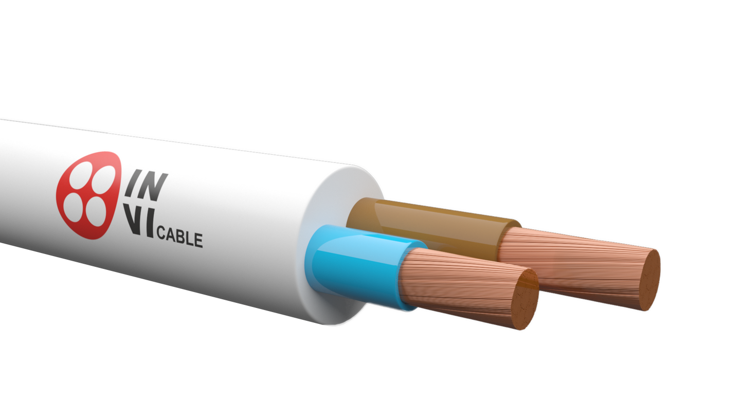 2 * 1․5 (ВВГнг(А)-LS) copper cable (Cable) IN-VI