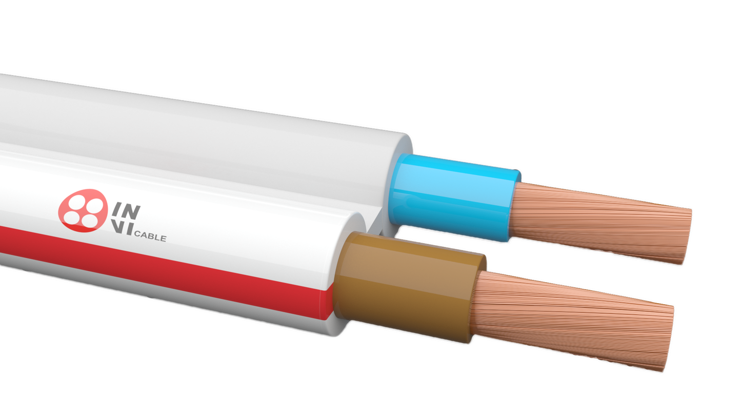 2 * 2.5 (PPVG) copper wire (Cable) IN-VI