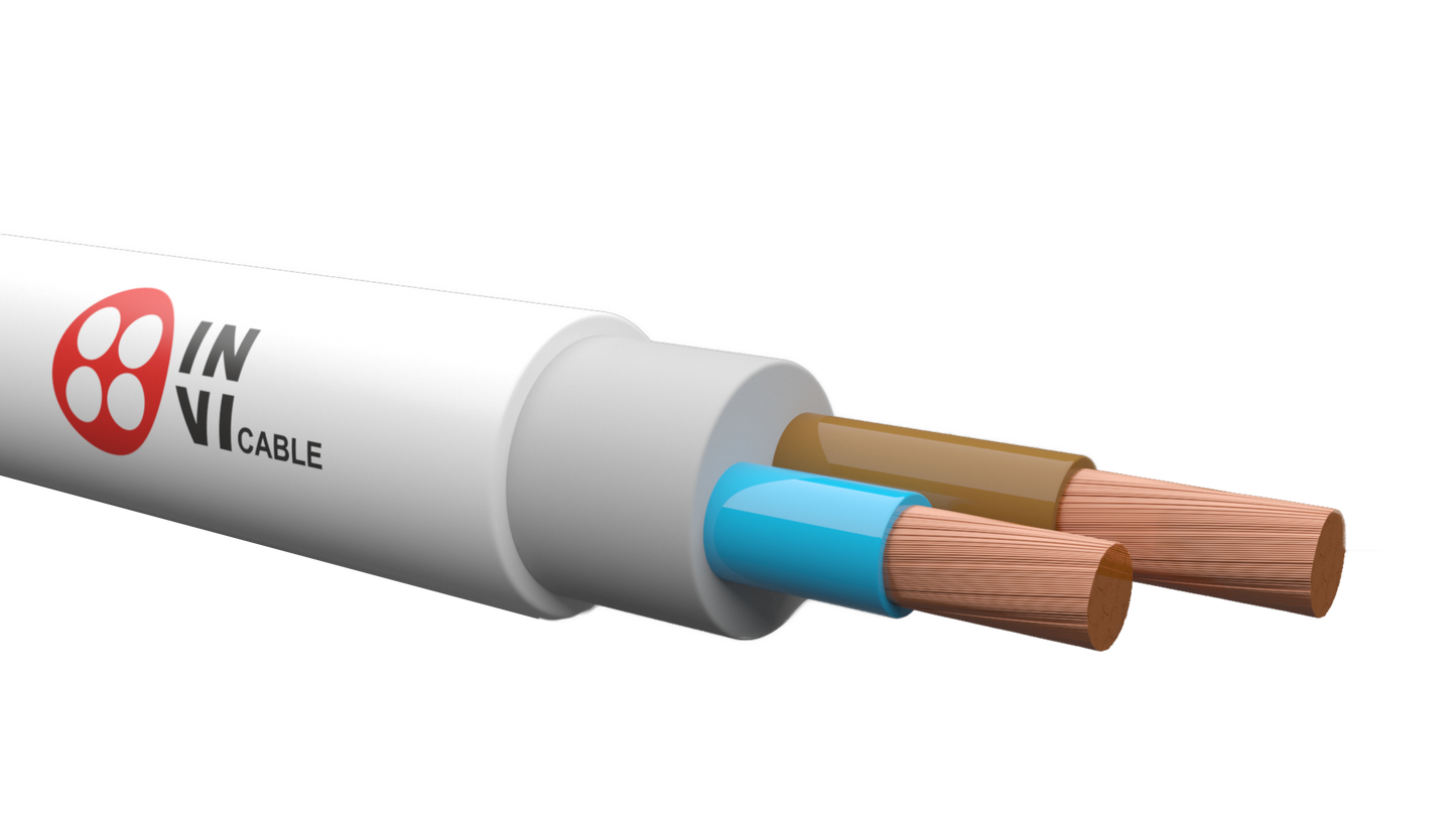 2 * 2.5 (ВВГнг(А)-LS) copper cable (Cable) IN-VI